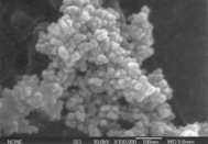 奈米二氧化矽