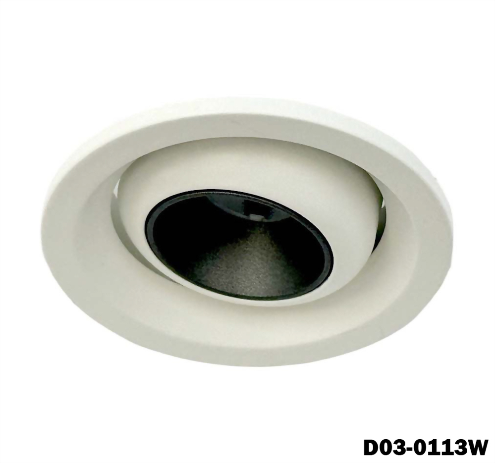 3W 1燈 Nichia 可調角投射燈