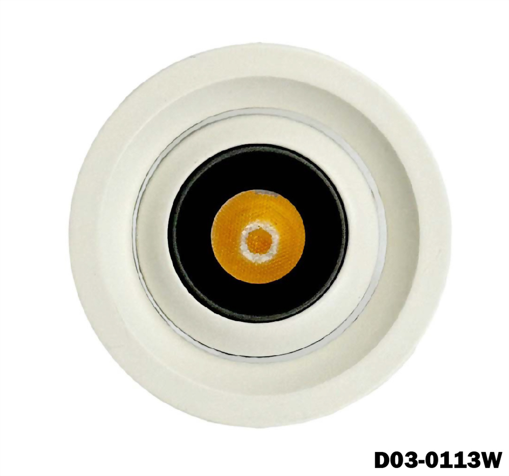 3W 1燈 Nichia 可調角投射燈