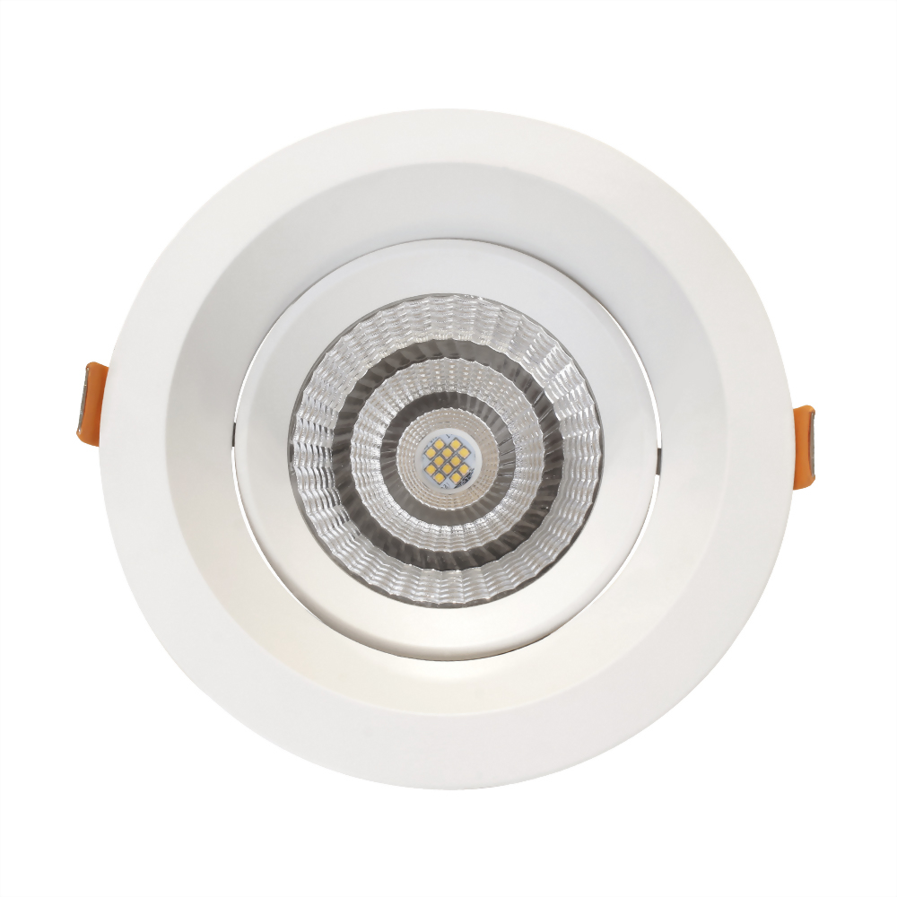 20W NICHIA Druckguss-Aluminium Verstellbare Einbauleuchte