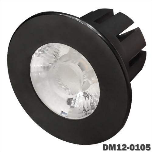 12W Nichia AR70模組