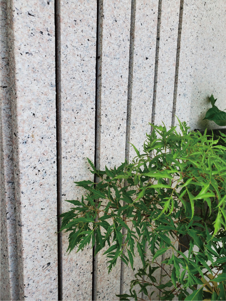 台中金剛山般若學院