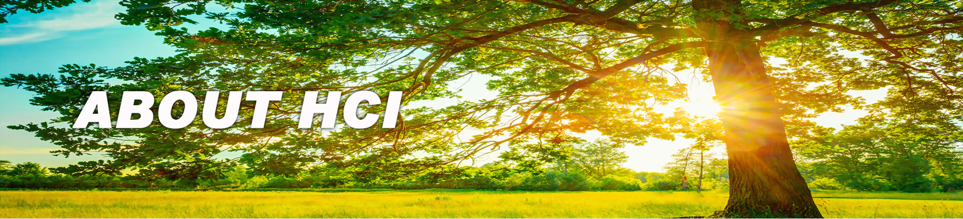 華慶集團 - 關於華慶