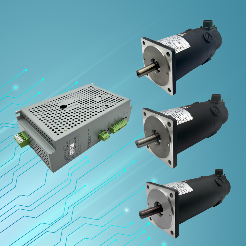 600W-1000W Brushed Speed Motor and Driver