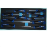 11 Pcs Torx Screwdriver SEt with EVA