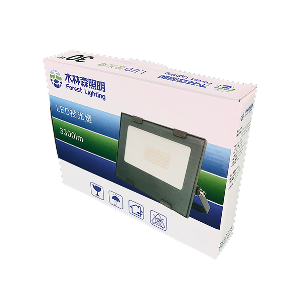 LED 投光燈/投射燈 30W