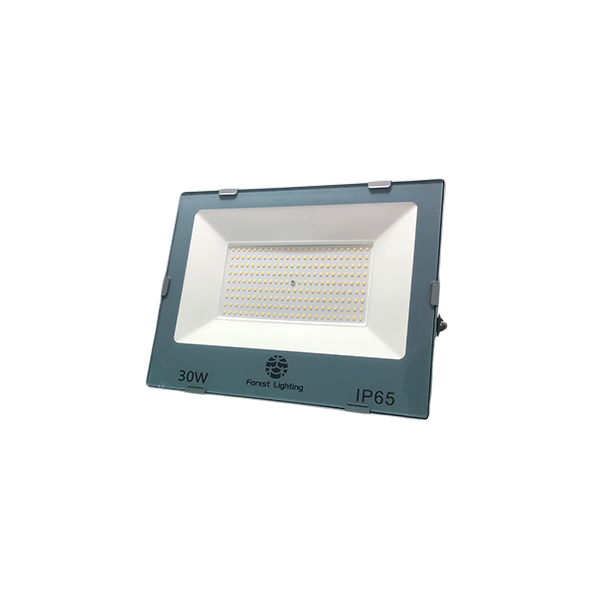 LED 投光燈/投射燈 30W