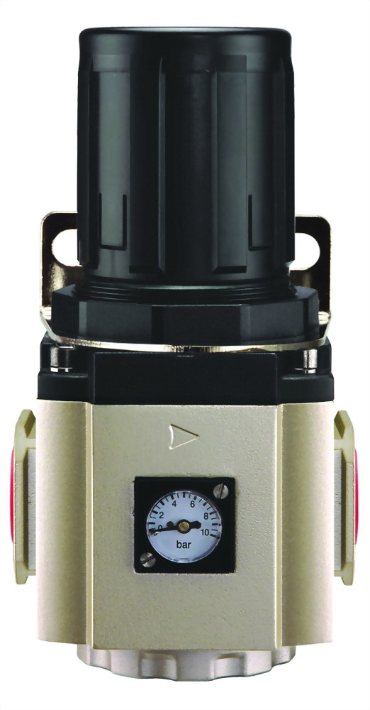 F.R.L GRS 600 Series Regulator