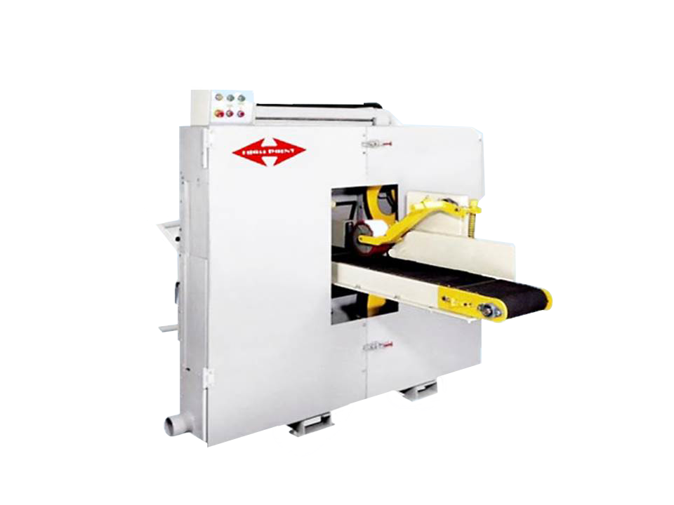 Twin Head Horizontal Band Resaw