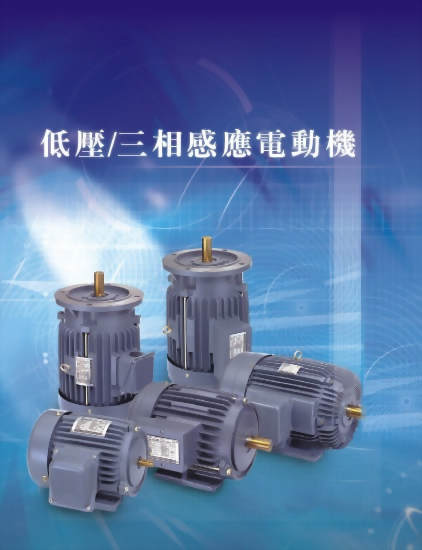 IEC 標準三相感應馬達