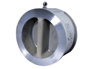 Goodwin Dual Dlate Check Valves