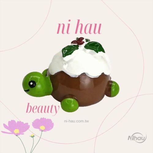 Christmas Pudding disguised Turtle kid OEM Lip Gloss