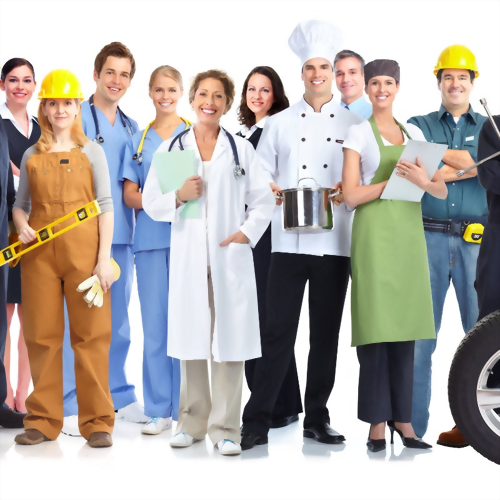 Professional Field Document Translation Review