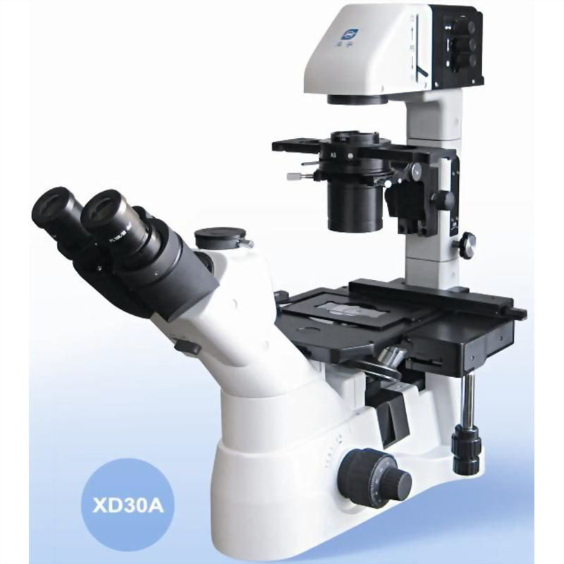 Inverted Microscope