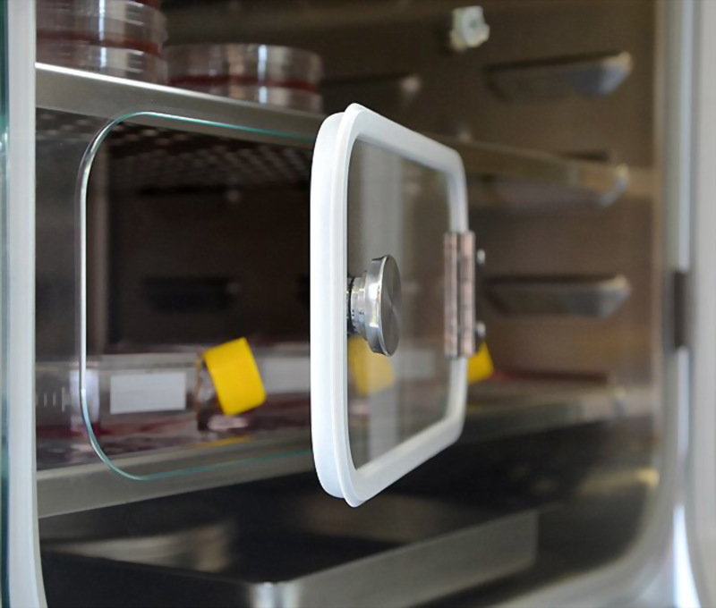 Binder CO2 Incubator