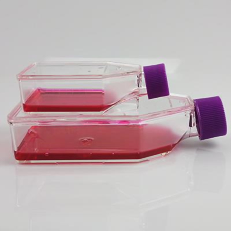 Cell Culture Flask