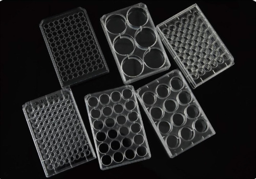 Cell Culture Plate