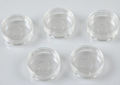 Glass Bottom Cell Culture Dish