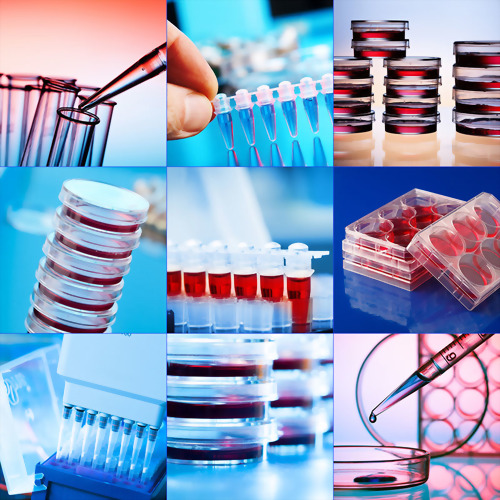 Laboratory Consumables