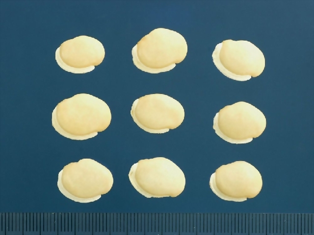 扁豆 (09060)