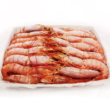 天使紅蝦