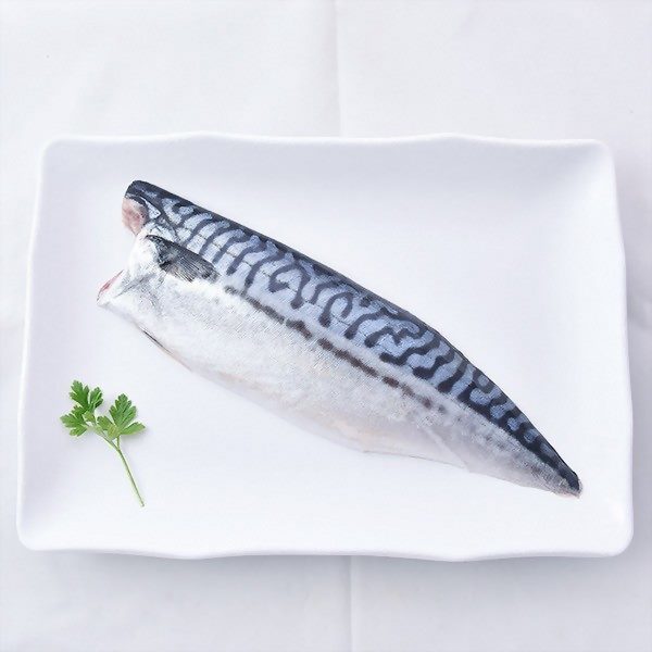青魚
