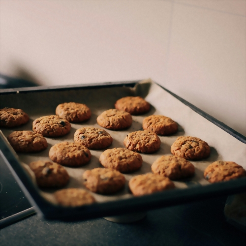 Pizza Oven Peel / Tray / Griddle