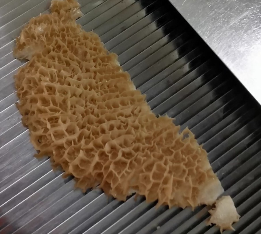 肉品、肉品加工斜切實作圖