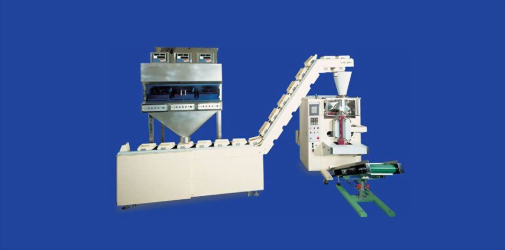 858B  Envasadora Vertical Con balanzas y elevator