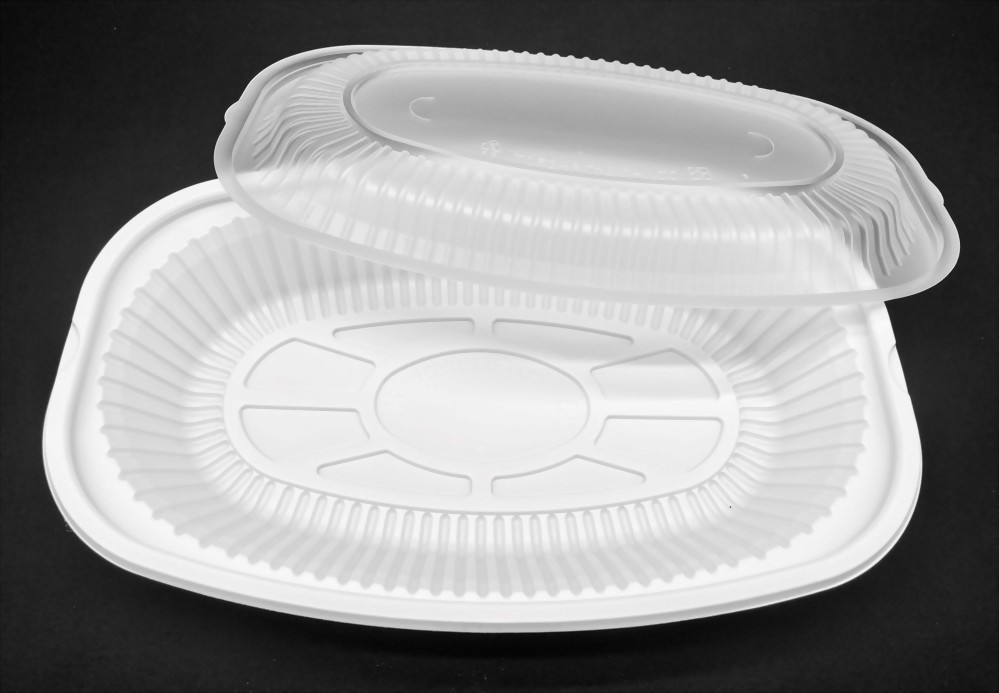 Fish plate with top and bottom lids-1