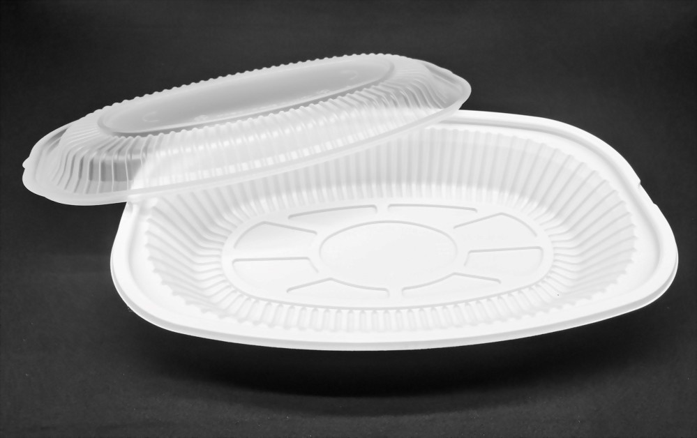 Fish plate with top and bottom lids-3