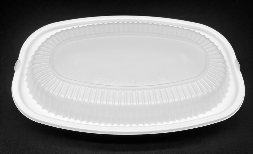 Fish plate with top and bottom lids-2