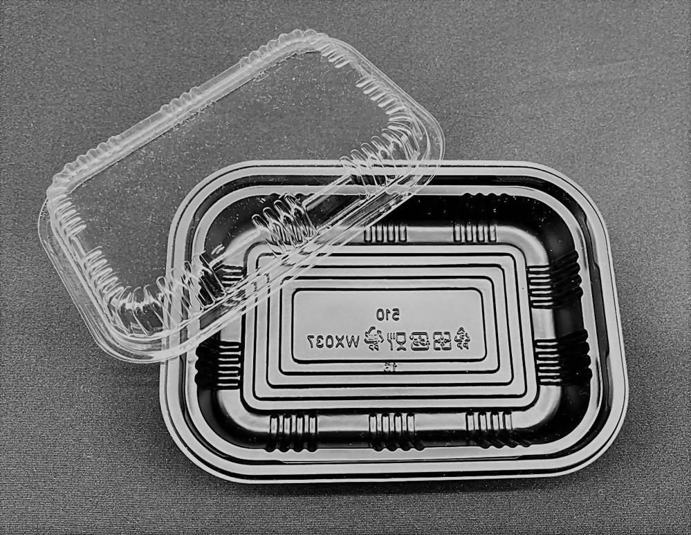 Takeaway lunch box WX037-3