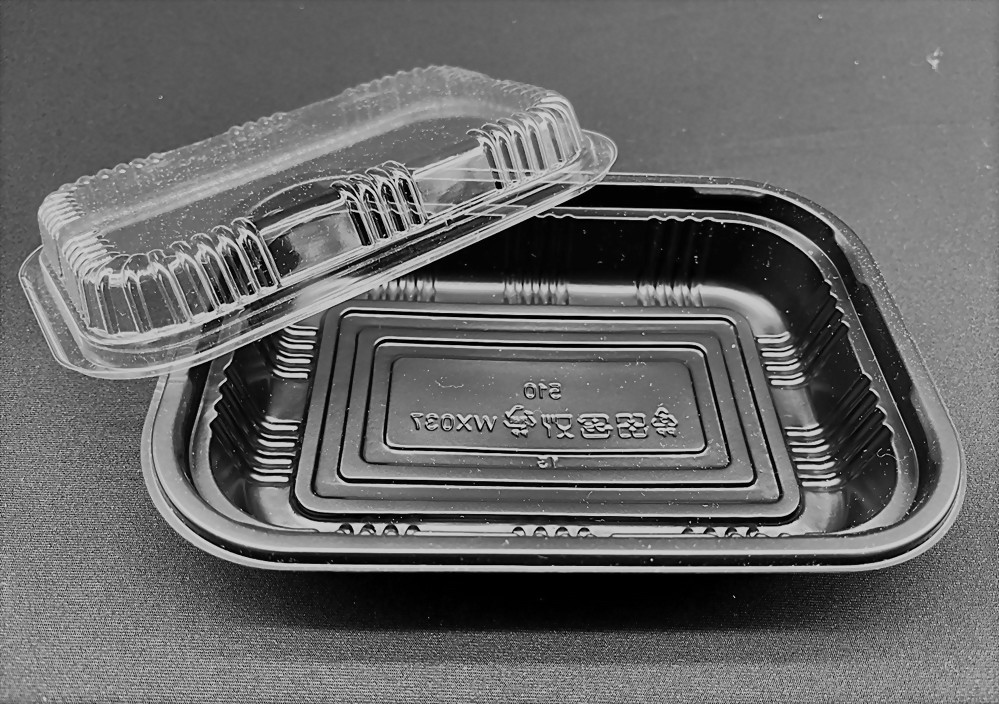 Takeaway lunch box WX037-4