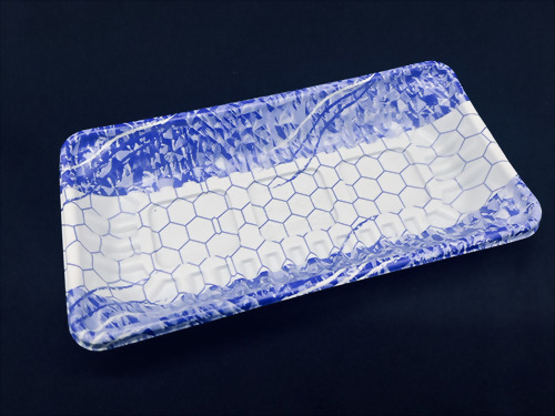 ZY-21-C-02 厚切魚