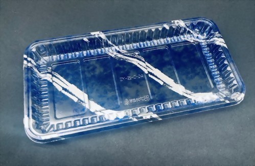 ZY-21-C-04 吳郭魚