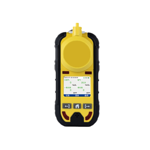External Pump Gas Detector