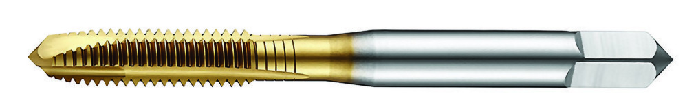 POT-81311