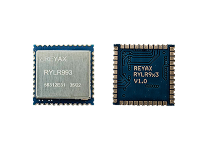 RYLR993