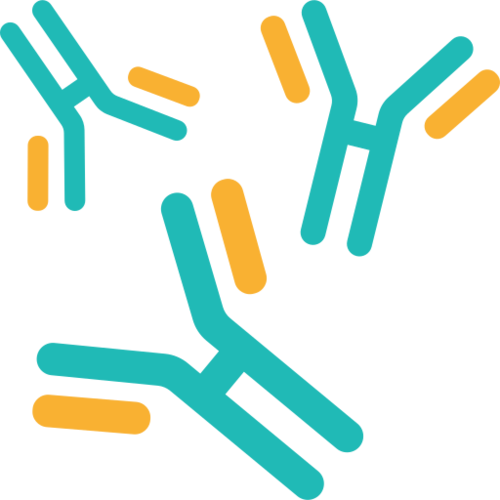 食品過敏原檢測