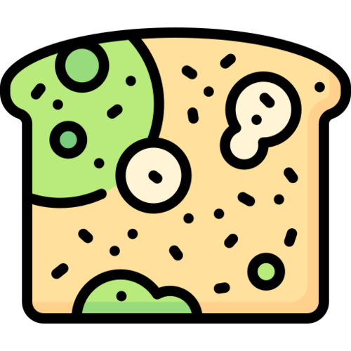 Food Mycotoxin Analysis