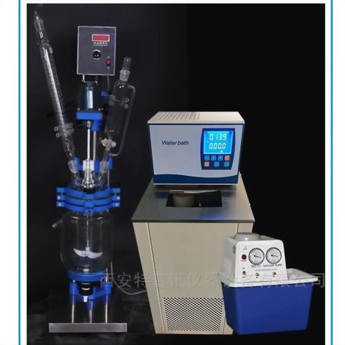 TOPT-5L實驗型雙層玻璃反應釜