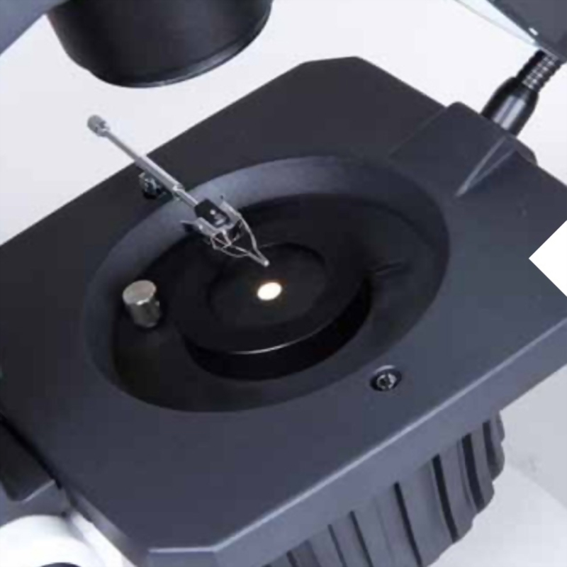 Motic Trinocular Microscope
