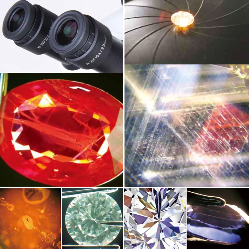 Motic Trinocular Microscope