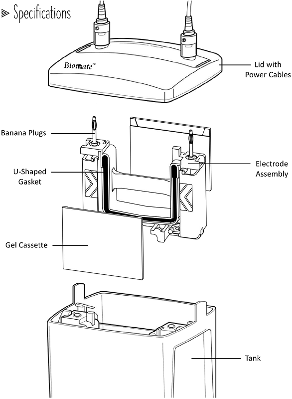 v2PAGE vertical electrophoresis system - 2