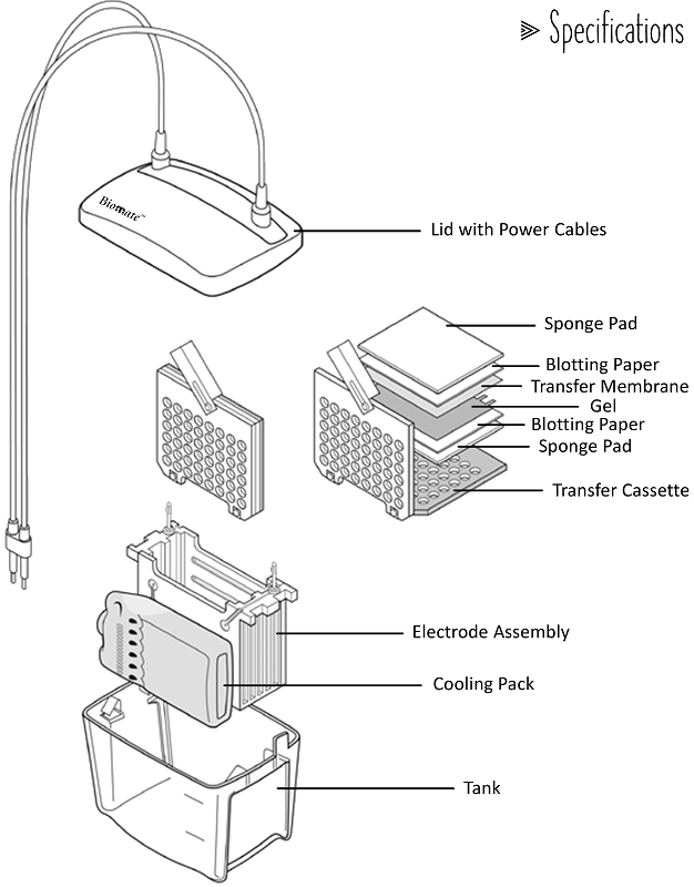 vBLOT2 electroblotting system - 2