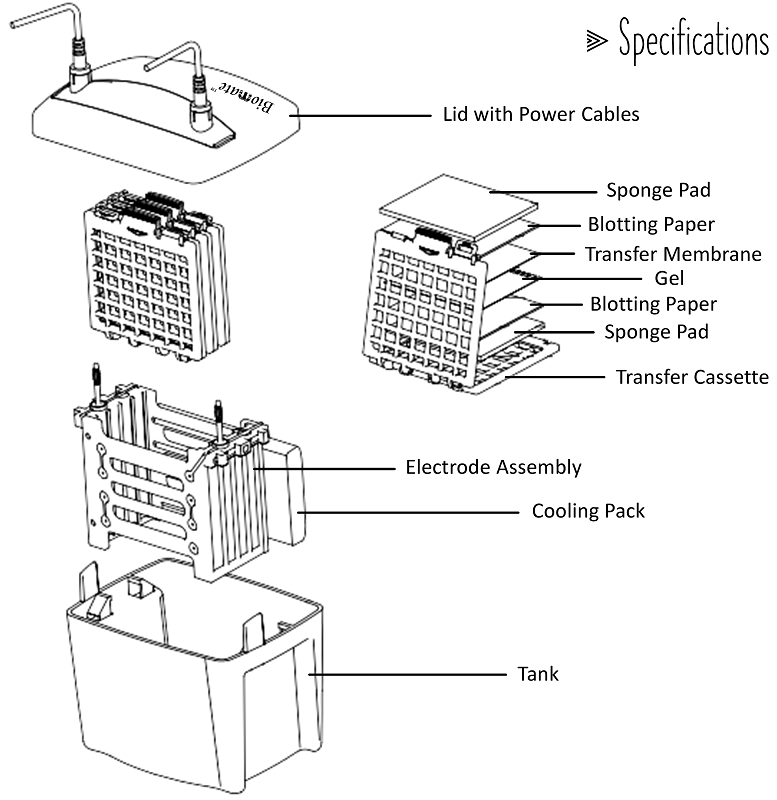 vBLOT4 electroblotting system - 2