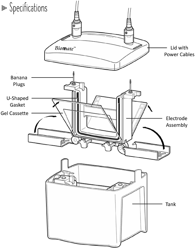 vPAGE vertical electrophoresis system