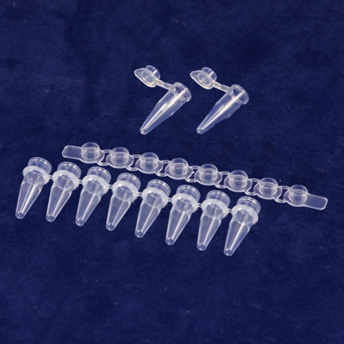 PCR Tube & Strip