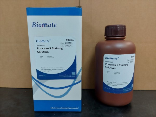 Ponceau S Staining Solution